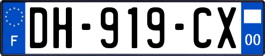 DH-919-CX