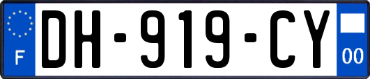 DH-919-CY