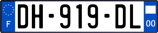 DH-919-DL