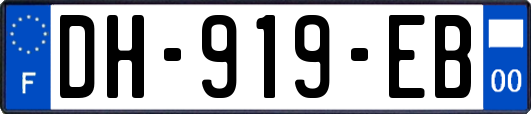 DH-919-EB