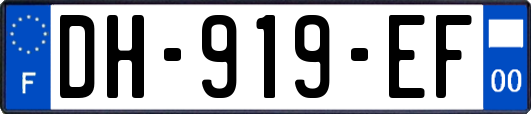 DH-919-EF