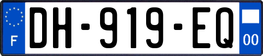 DH-919-EQ