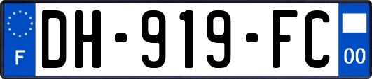 DH-919-FC