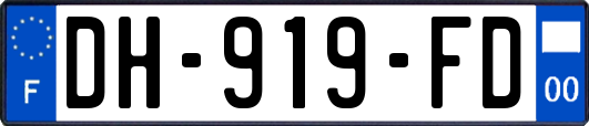 DH-919-FD