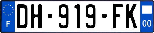 DH-919-FK