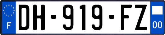 DH-919-FZ