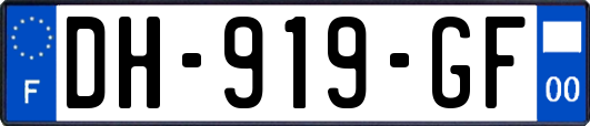 DH-919-GF