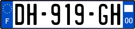 DH-919-GH