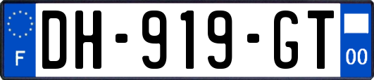 DH-919-GT