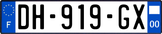 DH-919-GX
