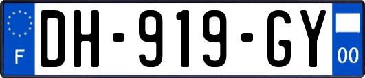 DH-919-GY