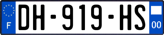 DH-919-HS