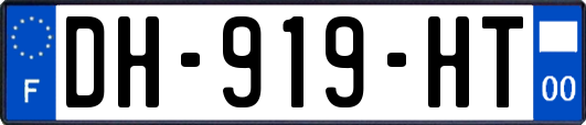 DH-919-HT