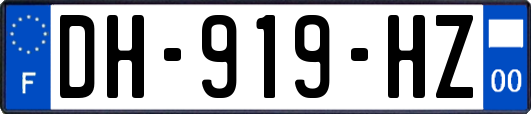 DH-919-HZ