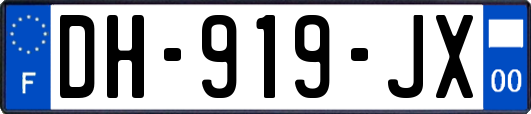 DH-919-JX