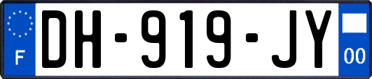 DH-919-JY