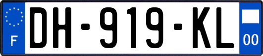 DH-919-KL