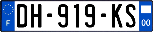 DH-919-KS
