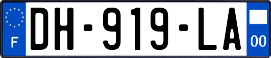 DH-919-LA