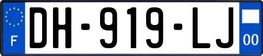 DH-919-LJ