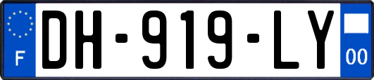 DH-919-LY