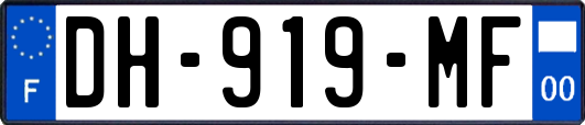 DH-919-MF