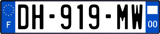 DH-919-MW