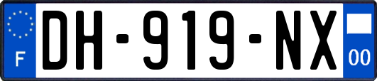 DH-919-NX