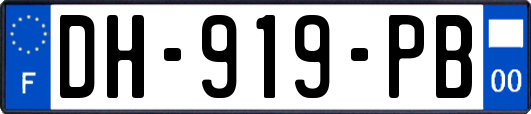 DH-919-PB