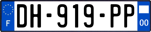 DH-919-PP