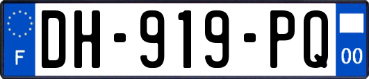 DH-919-PQ