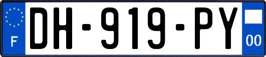 DH-919-PY