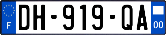 DH-919-QA