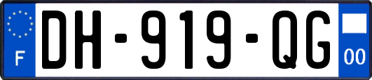 DH-919-QG