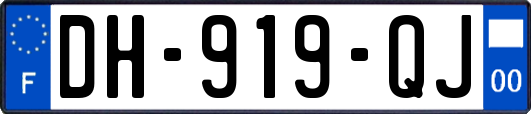 DH-919-QJ