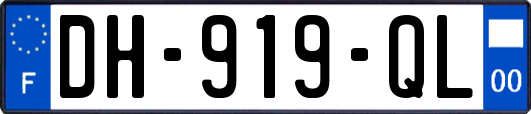 DH-919-QL
