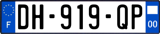 DH-919-QP