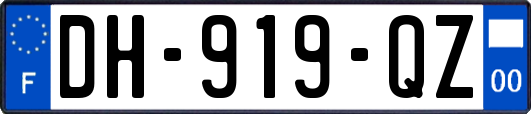 DH-919-QZ