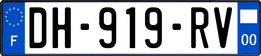 DH-919-RV