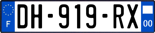 DH-919-RX