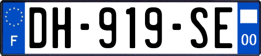 DH-919-SE