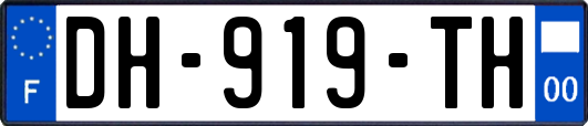 DH-919-TH