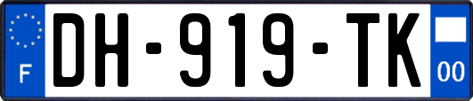 DH-919-TK