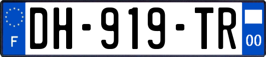 DH-919-TR