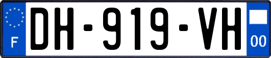 DH-919-VH