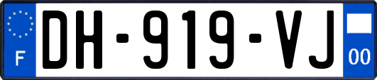 DH-919-VJ