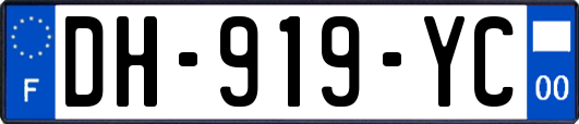 DH-919-YC