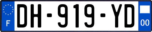 DH-919-YD