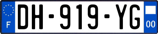 DH-919-YG