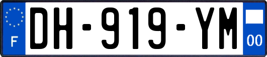 DH-919-YM